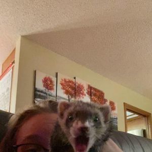 Meet your Posher, Chantal